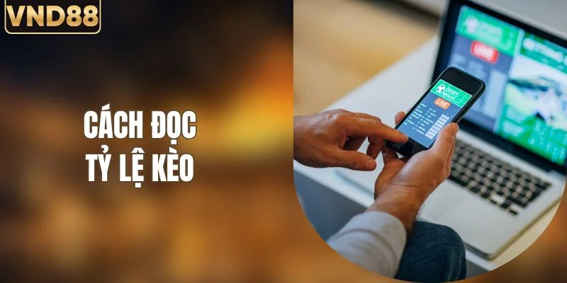 Cách Đọc Tỷ Lệ Kèo Chính Xác Dành Cho Hội Viên VND88 1 Cách Đọc Tỷ Lệ Kèo Chính Xác Dành Cho Hội Viên VND88