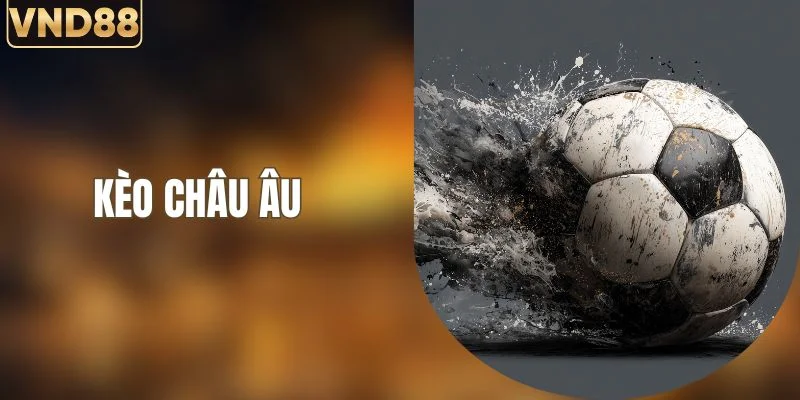 Kèo Châu Âu Tại VND88 - Cách Đọc Và Phân Tích Tỷ Lệ 1x2 4 Kèo Châu Âu Tại VND88 - Cách Đọc Và Phân Tích Tỷ Lệ 1x2