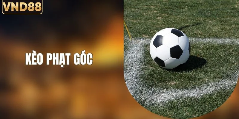 Kèo Phạt Góc - Cách Phân Tích Chuẩn Xác Từ Nhà Cái VND88 3 Kèo Phạt Góc - Cách Phân Tích Chuẩn Xác Từ Nhà Cái VND88