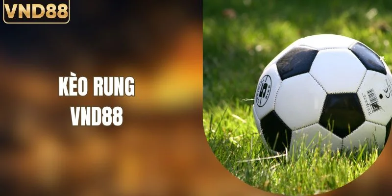 Kèo Rung - Cách Đọc Tỷ Lệ Và Vào Lệnh Hiệu Quả Từ VND88 2 Kèo Rung - Cách Đọc Tỷ Lệ Và Vào Lệnh Hiệu Quả Từ VND88