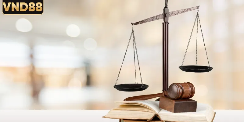 Miễn trừ trách nhiệm các lỗi phát sinh kỹ thuật