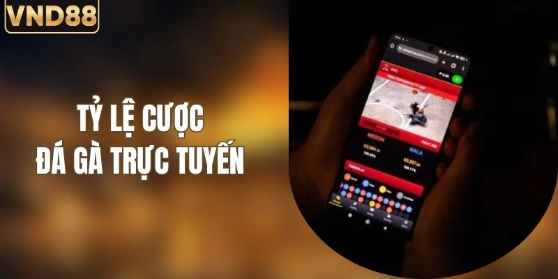 Tỷ Lệ Cược Đá Gà Trực Tuyến Với Cách Chọn Kèo Hiệu Quả 2 Tỷ Lệ Cược Đá Gà Trực Tuyến Với Cách Chọn Kèo Hiệu Quả